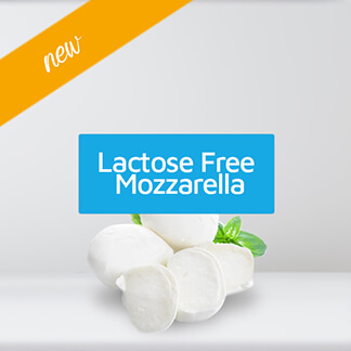 Lactose free mozzarela