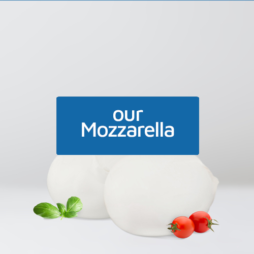 Mozzarela