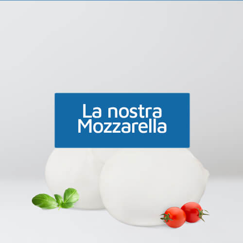 Mozzarella