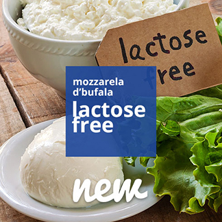 Lactose free mozzarela
